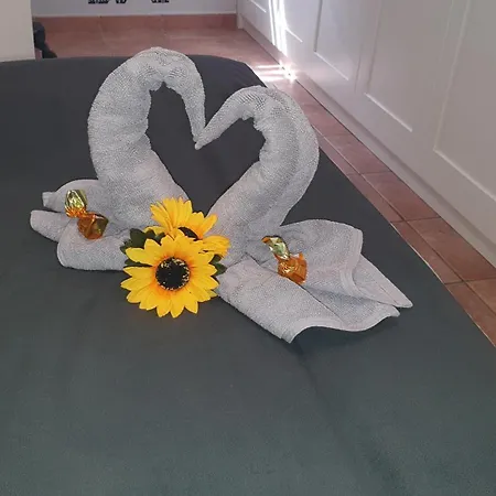 Appartamento Carmen Morro Jable (Fuerteventura)